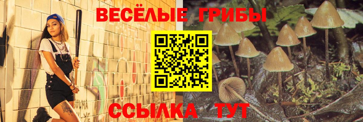 купить наркотик  Вход с VPN  Москва  Псилоцибиновые грибы мухоморы  Псилоцибиновые грибы Psilocybe 
